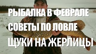 Жерлицы на щуку в феврале