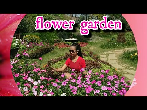 Flowers garden🌸