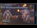 [WoW] ⚔ Dragonflight - [078] Die Winterpelzfurbolgs [Let's Play]