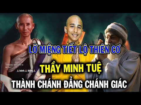 Thầy Minh Tuệ lỡ miệng tiết lộ thiên cư, sẽ trở thành Chánh Đẳng Chánh Giác