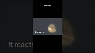 THE ORB ACTUALLY COMMUNICATES⁉️😳😱#angel #ezekiel #orb #biblical #ophanim #shorts