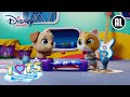 T.O.T.S. | We houden van delen! | Disney Channel NL