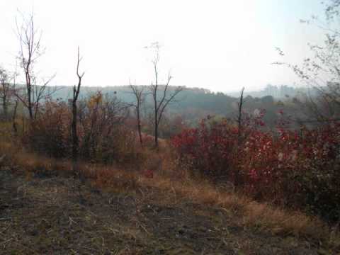 Valeriu Gorgos: Cine mi-e drag...