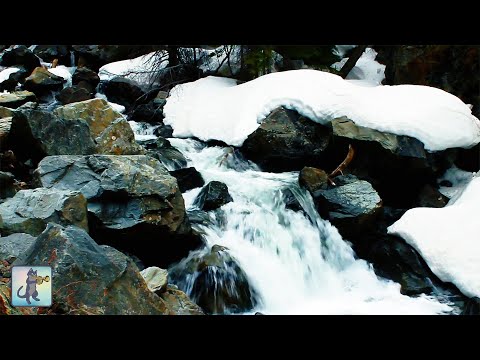 Winter Waterfall ~ Beautiful Relaxing Forest River Waterfall Nature Sounds • White Noise • 10 HOURS