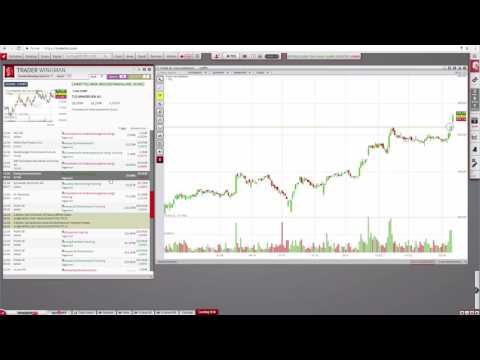 So arbeitet der Trader Wingman, unser intelligenter Echtzeit-Börsenkommentator!