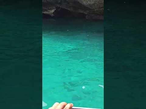 so beautiful ❤️🤩