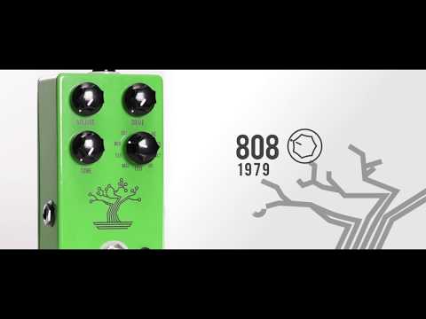 Bonsai by JHS | RockBoard