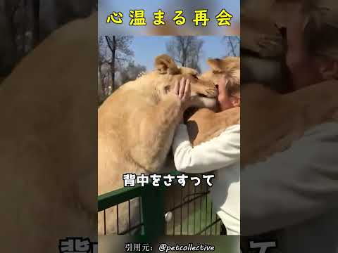 種の保護: 2017 年の勝者と敗者