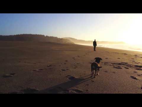 Six Organs of Admittance "Adoration Song" (Official Music Video)
