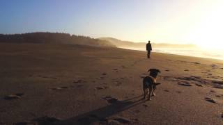 Six Organs of Admittance "Adoration Song" (Official Music Video)