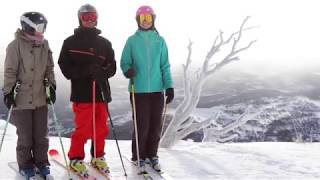 The snow conditions are EPIC right now!