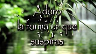 Adoro - Armando Manzanero y Alejandro Sanz (Letra)