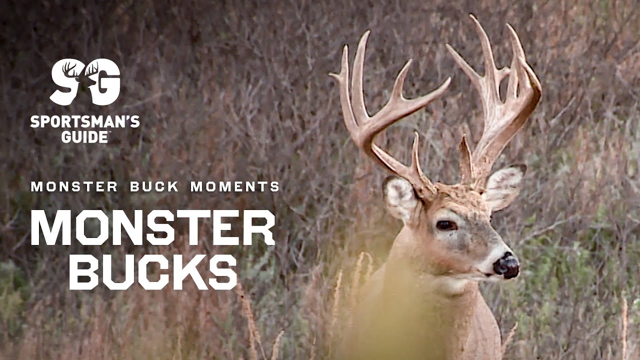 Giant Whitetail Hunts | Midwest Giants| Monster Buck Moments presented by Sportsman's Guide