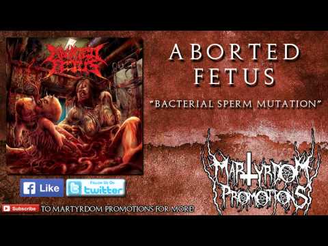 ABORTED FETUS - 