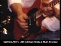 David Wilcox - Concert Video #2  - Salmon Arm's Roots & Blues Festival