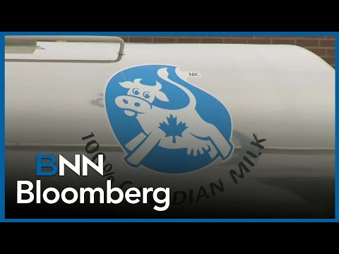 'There is space for Canada to make changes that would make the Americans happy': McCann on CUSMA