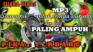 Download lagu Pikat burung kecil dan besar anti zonk,100% Ampuh mp3 durasi panjang,khusus burung yang susah turun. mp3
