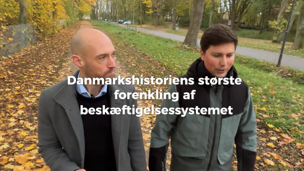 Hvad er den nye beskæftigelsesreform? 🤔
