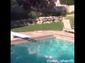 Girl bellyflopping in pool (Queen - We Will Rock ...