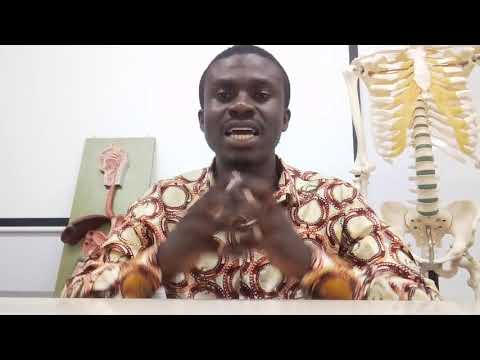 Oral cavity anatomy 1 by Daniel Okwan