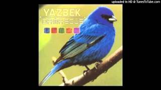 David Yazbek - Strange Warm Day