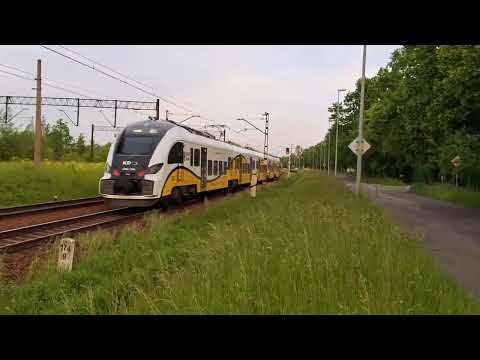 Express Do Kawy [#52] KD 69736 (D7) - Pesa Elf 2 48WEc-033