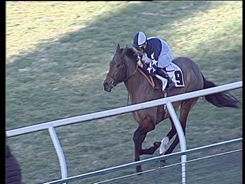 Galoppo 12/02/2019 - 2ª corsa