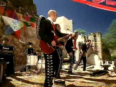 download lagu mp3 mp4 Genitallica Borracho Mp3, download lagu Genitallica Borracho Mp3 gratis, unduh video klip Genitallica Borracho Mp3