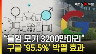 [여의도튜브] "불임 모기 3200만마리" 구글 '95.5%' 박멸 효과 / 머니투데이방송
