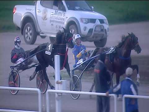 Trotto 21/12/2018 - 3ª corsa