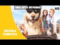 Una joya de perro | HD | Comedia | Película Completa en Español