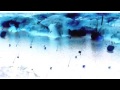 Dinosaur The Meteor G Major