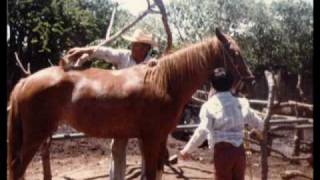 QUE FALTA ME HACE MI PADRE