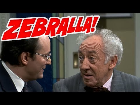 Hallervordens Zebralla! - Das Tiefergefrorene