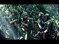 Vietnam Rats