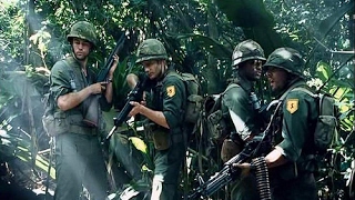 Download lagu Vietnam Rats mp3 Download lagu Vietnam Rats mp3