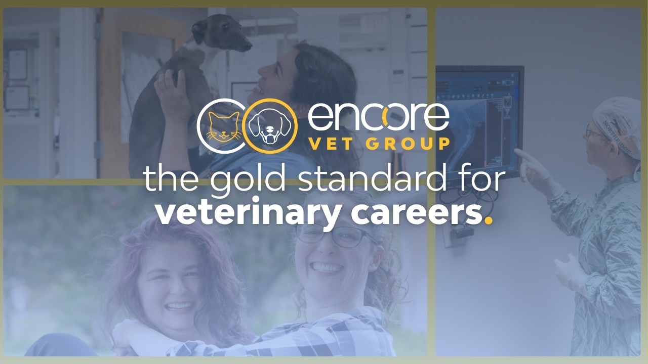 Why Our Teams Love Working at Encore Vet Group