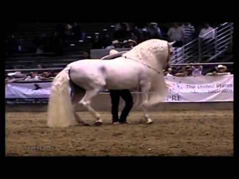 El Corrido Del Caballo Blanco - Vicente Fernández
