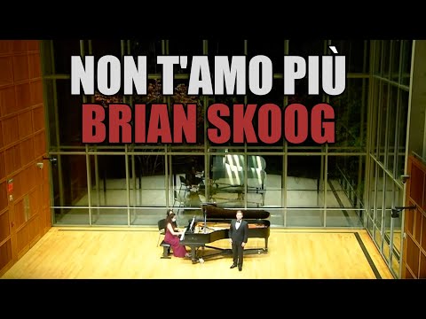 Brian Skoog - Non t'amo più (with English subtitles)