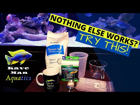 Internal Parasites In Fish - (A Last Resort Treatment)