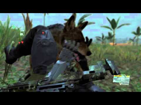 MGS 5: THE PHANTOM PAIN-Hund, sitz.