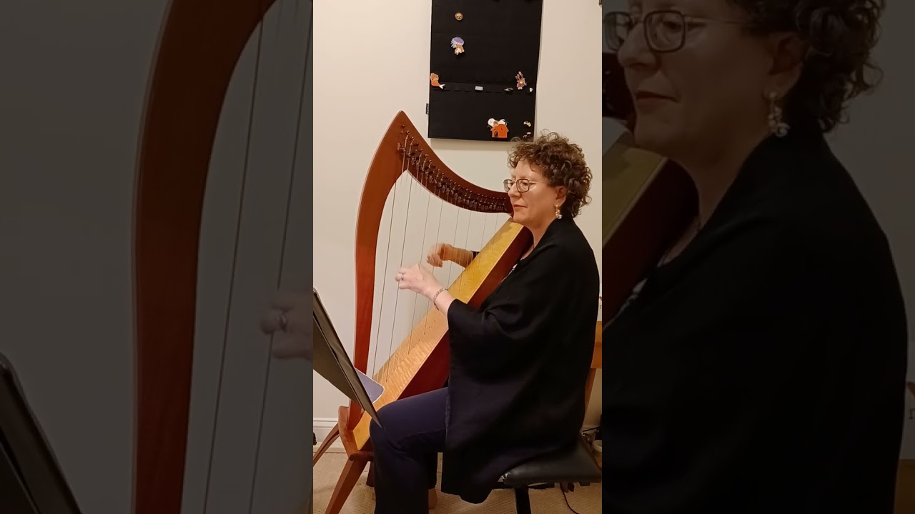 Promotional video thumbnail 3 for Harpist-Miriam Shilling