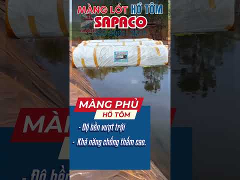 Màng Phủ Hồ Tôm LDPE Nguyên Sinh SAPACO | Sản xuất Bạt Lót Hồ LDPE tại nhà máy | SAPACO