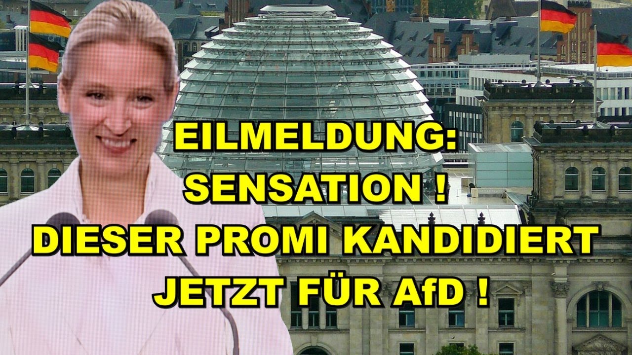 EIL: Dieser PROMI KANDIDIERT für AfD!