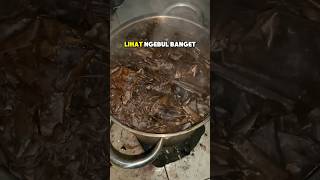 Download lagu Intip Sedikit Produksi Ketapang Liquid Terbaik Buat Ikan Cupang !! mp3