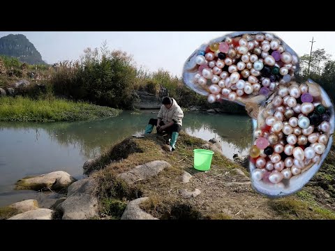 Big surprise, precious black pearls, shells are visible at a glance as the water level drops