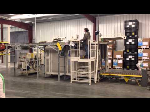 Used Semi-automatic Bag Palletizer Video 1