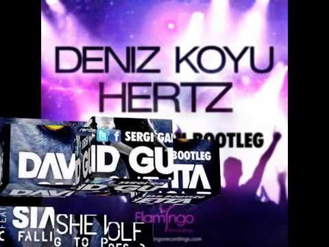 David Guetta Ft Sia Vs Deniz Koyu - She Wolf Vs Hertz (Sergi Galian Bootleg)
