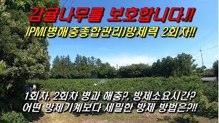감귤나무를 보호합니다..IPM(병해충종합관리)방제력 2회차, 방제소요시간, 어떤 방제기계보다 세밀한 방제방법…