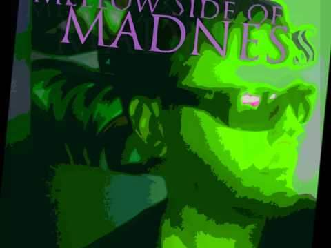 Mellow Side of Madness by Corey Morris aka CoMo